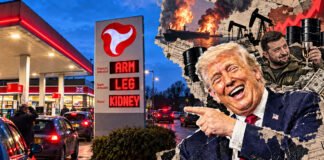 The G7 Went Begging for Diesel: UK Diesel Price Crisis Hits £2 as Britain Lacks Fuel Reserves Diesel Crisis