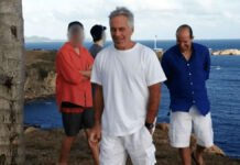 MPs call for investigation after Death of Lutnick-Epstein whistleblower Epstein files