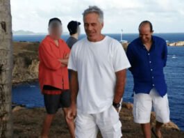 MPs call for investigation after Death of Lutnick-Epstein whistleblower Epstein files
